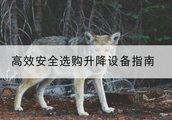 叠彩升降货梯厂家推荐-*安全选购升降设备指南