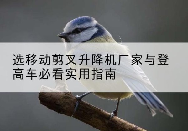 叠彩电动升降机厂家-选移动剪叉升降机厂家与登高车必看实用指南