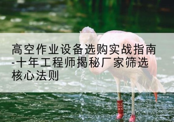 叠彩剪叉式升降机厂家-高空作业设备选购实战指南-十年工程师揭秘厂家筛选核心法则